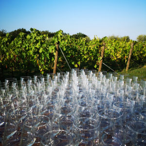 Degustazione en plein air