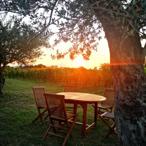 Picnic sotto le stelle